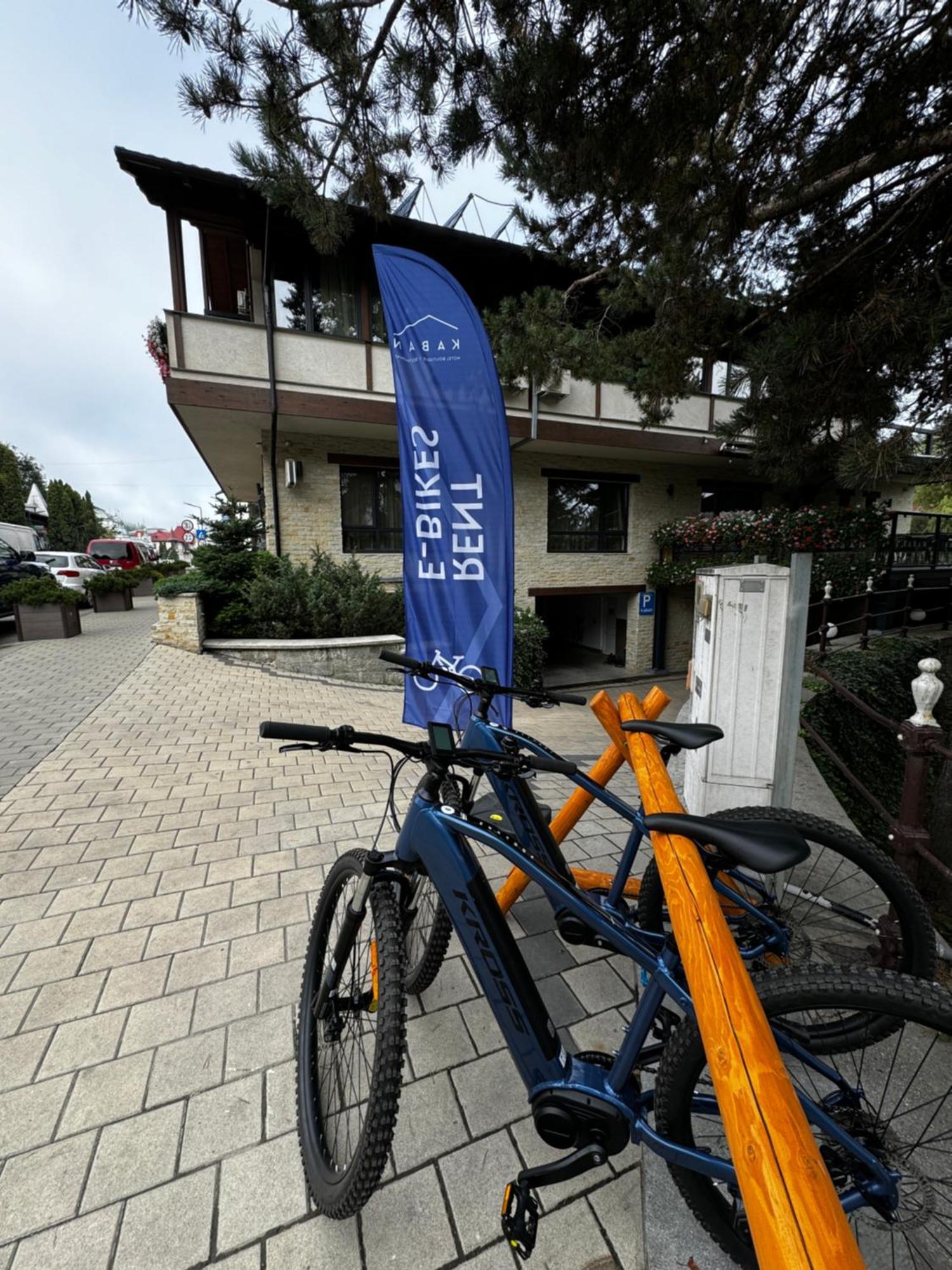 Kaban Boutique - 5Star Central Villa In Vatra Dornei Exteriér fotografie